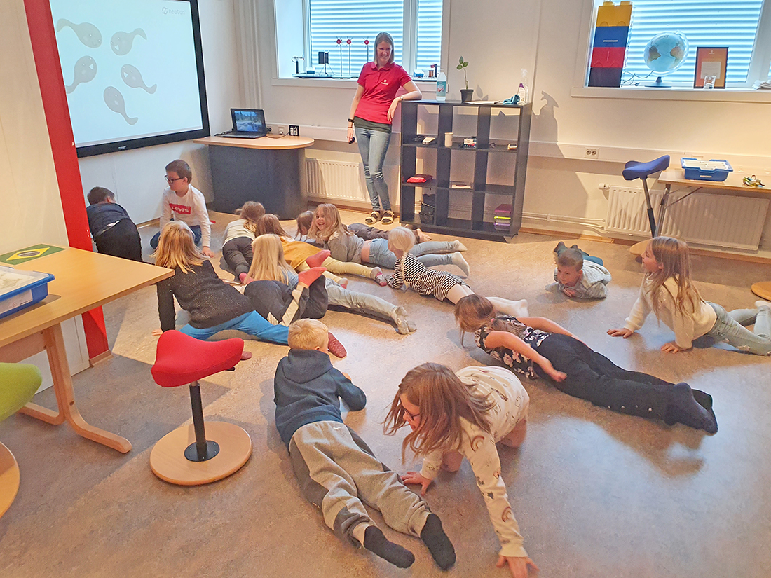 Fra rumpetroll til frosk